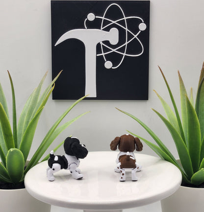 Springer Spaniel Dog Fidget Animal