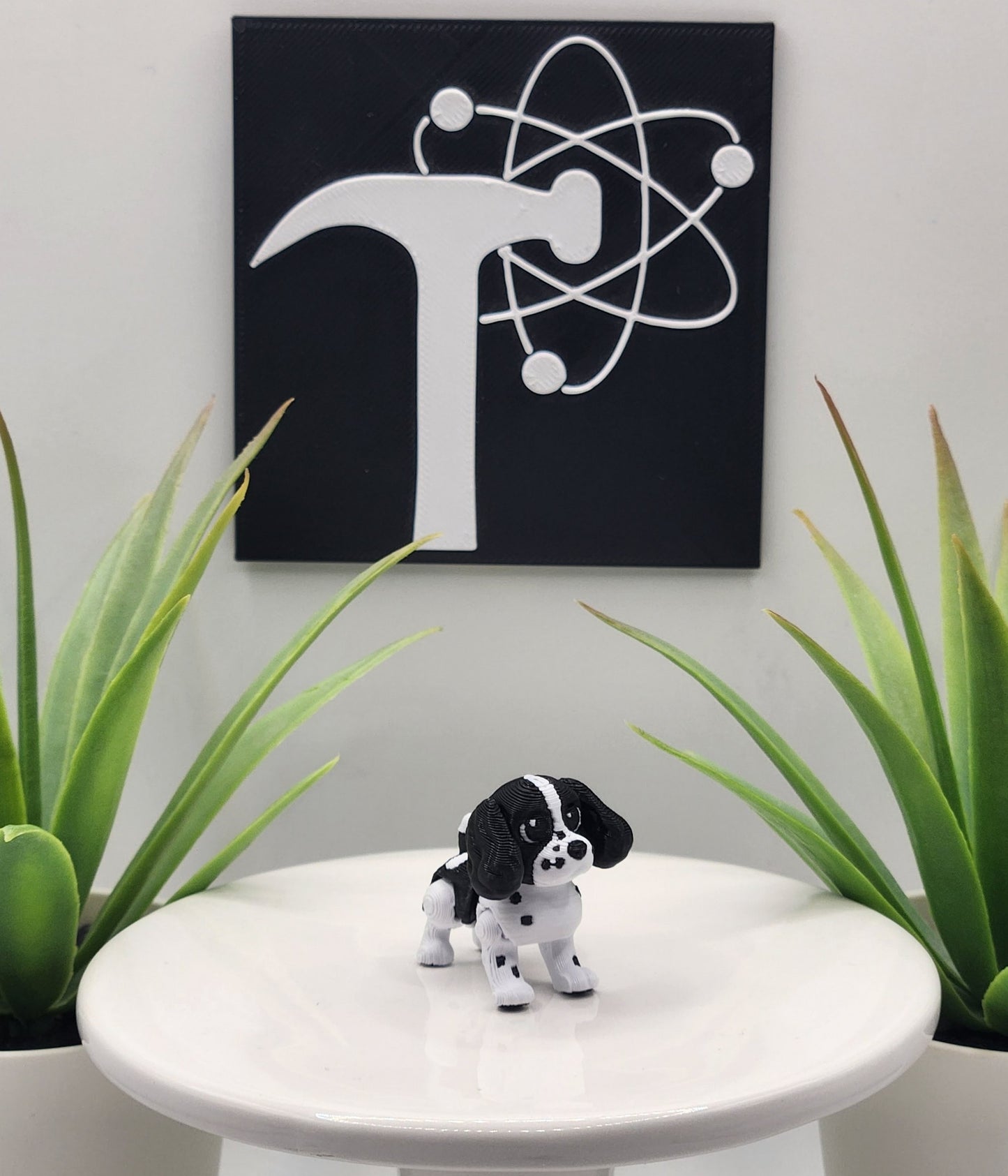 Springer Spaniel Dog Fidget Animal