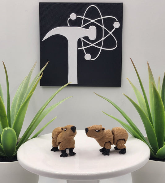 Capybara Fidget Animal