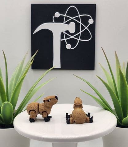 Capybara Fidget Animal