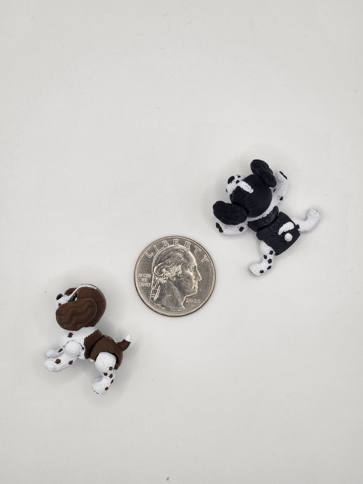 Springer Spaniel Dog Fidget Animal