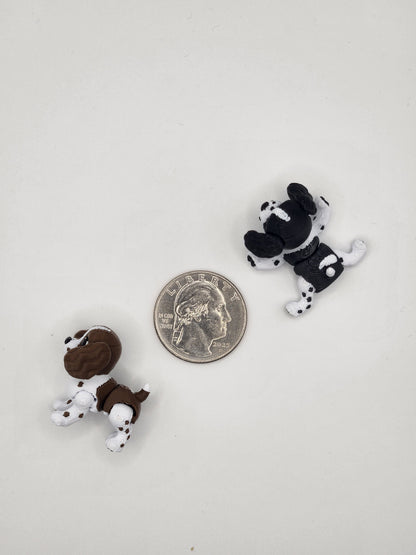 Springer Spaniel Dog Fidget Animal