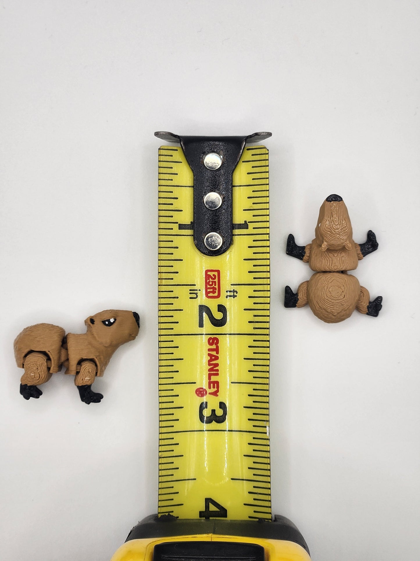 Capybara Fidget Animal