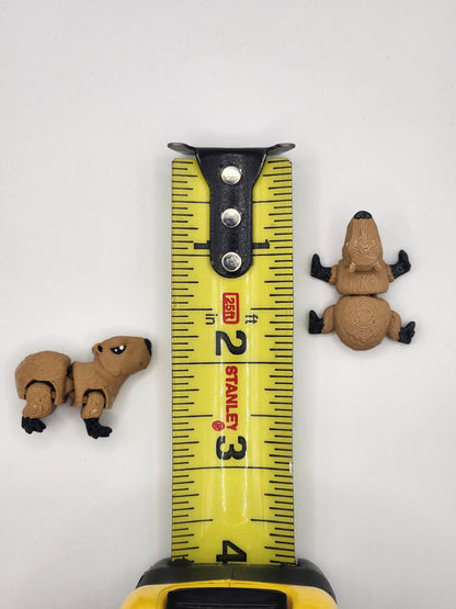 Capybara Fidget Animal