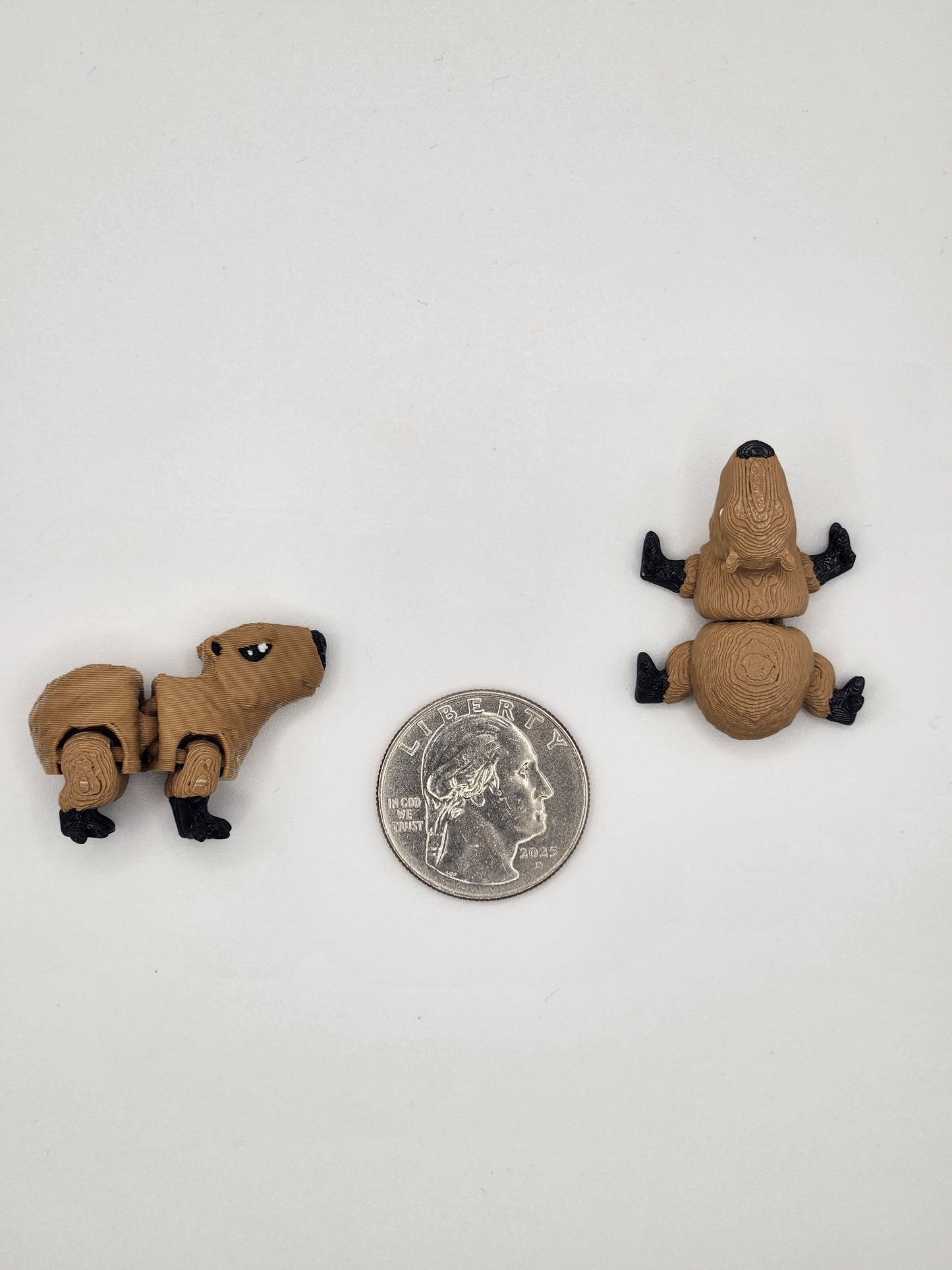 Capybara Fidget Animal