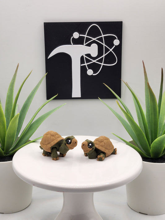 Tortoise Fidget Animal Fidget Animal