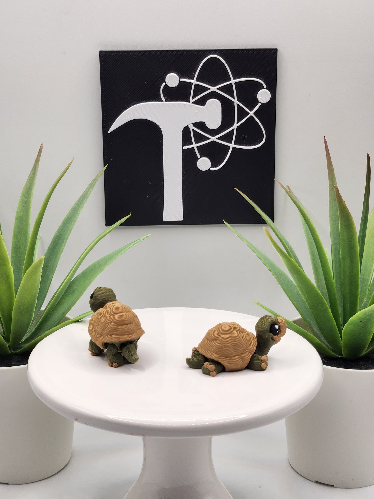 Tortoise Fidget Animal Fidget Animal