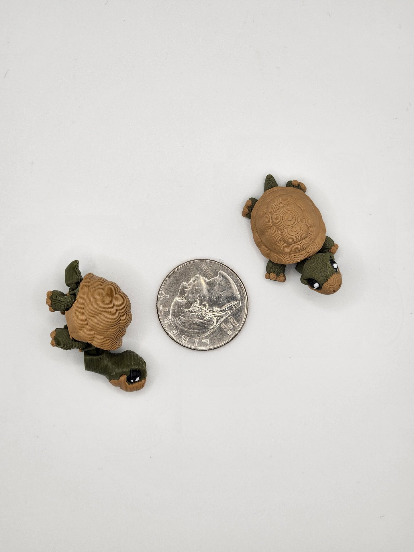 Tortoise Fidget Animal Fidget Animal