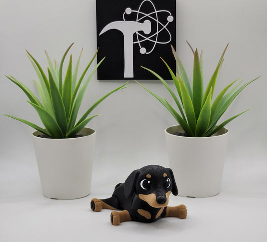 Dachshund Fidget Animal