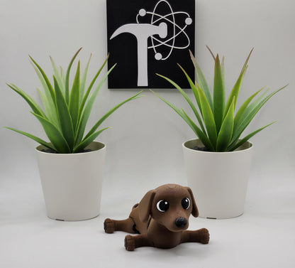 Dachshund Fidget Animal