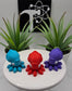 Cuttlefish Fidget Animal