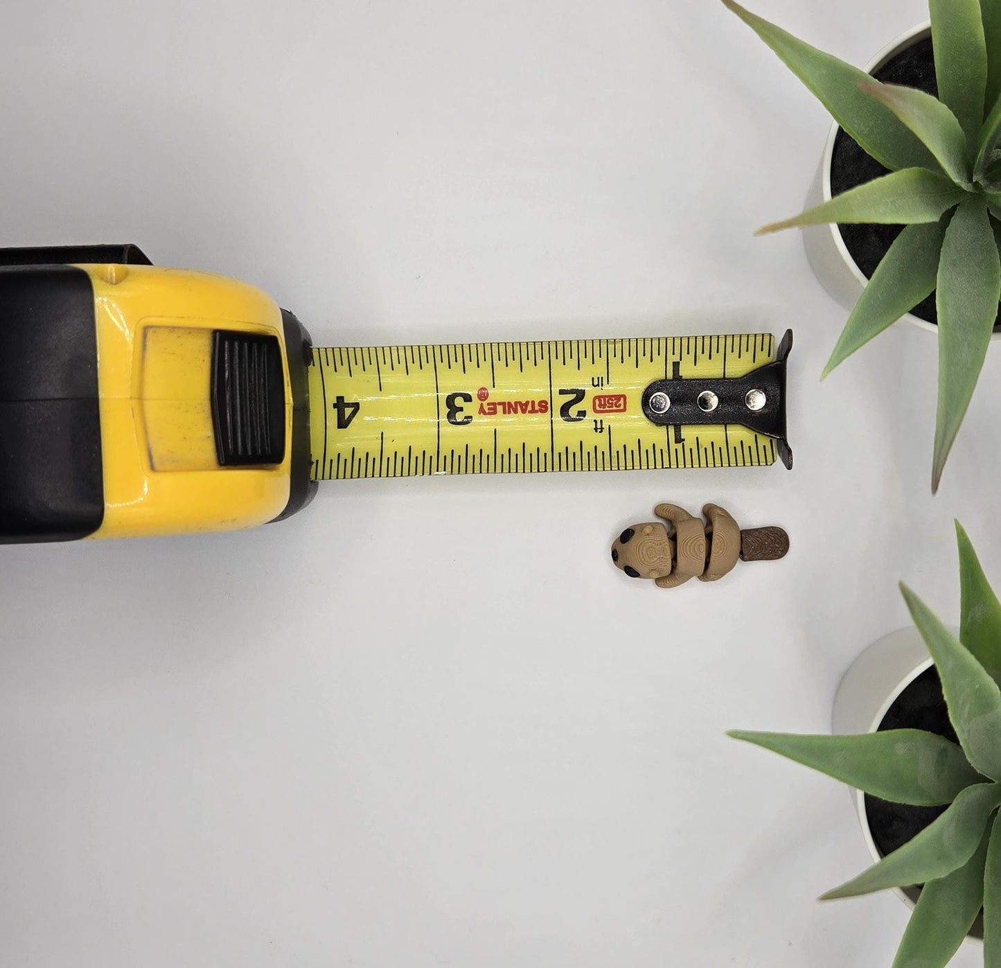 Beaver Fidget Animal