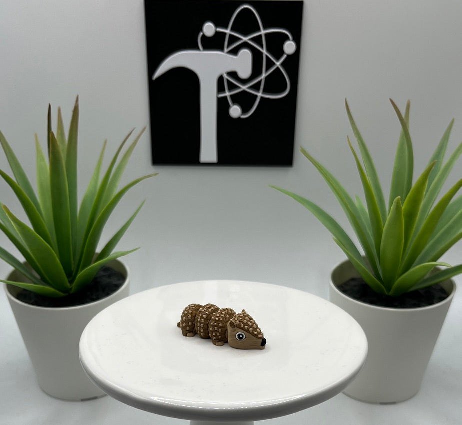 Armadillo Fidget Animal