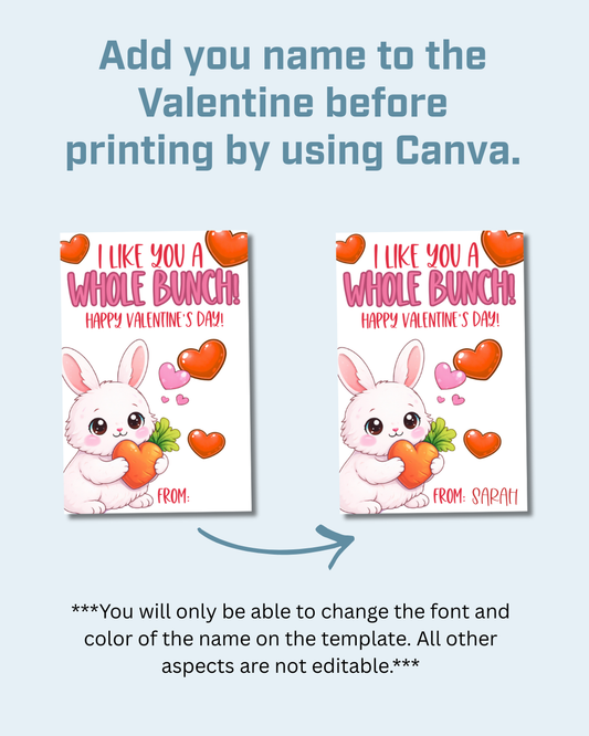 Bunny Printable Valentine Cards