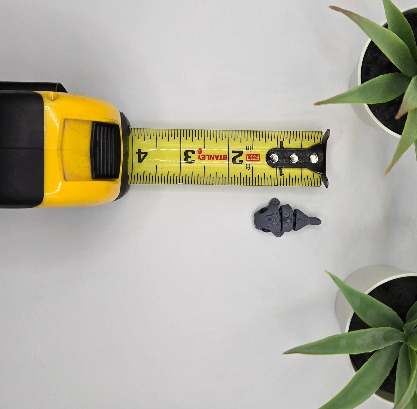 Catfish Fidget Animal