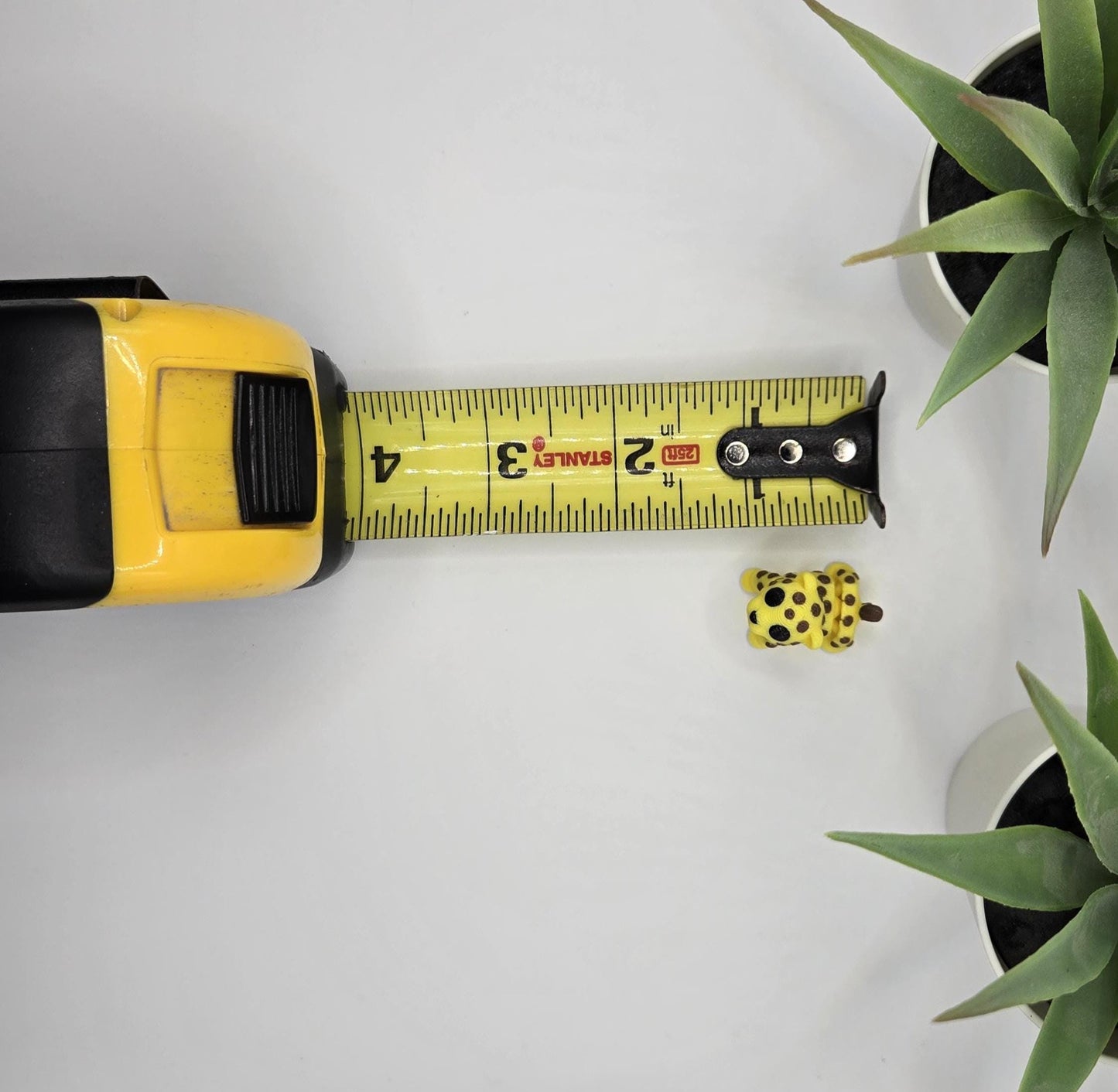 Leopard Fidget Animal