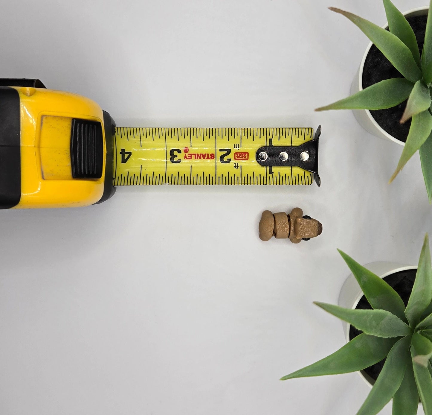 Capybara Fidget Animal