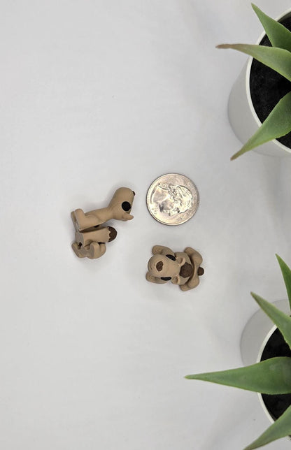 Camel Fidget Animal