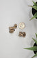 Camel Fidget Animal