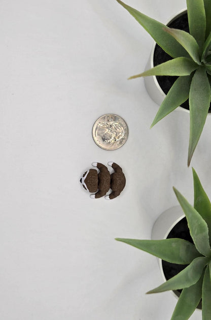 Sloth Fidget Animal