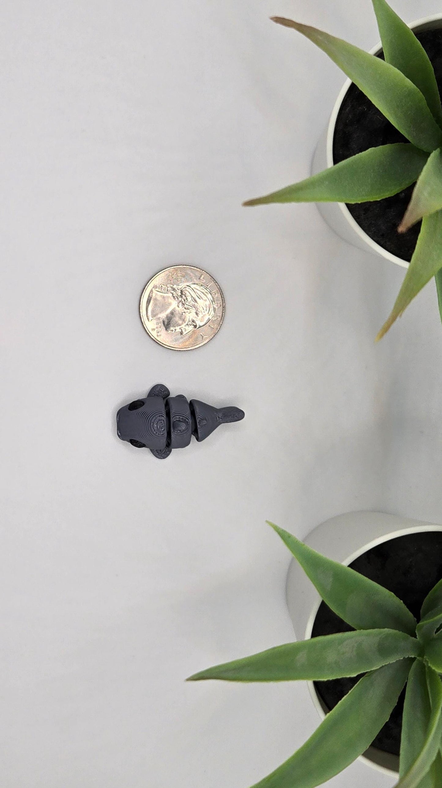 Catfish Fidget Animal