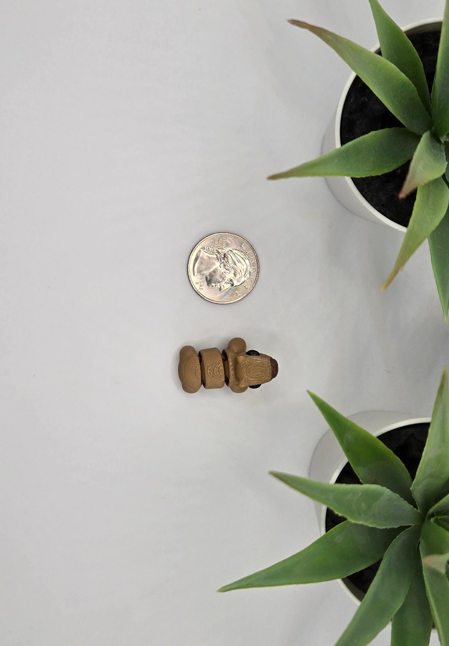 Capybara Fidget Animal