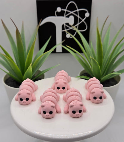 Pig Fidget Animal