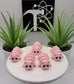 Pig Fidget Animal