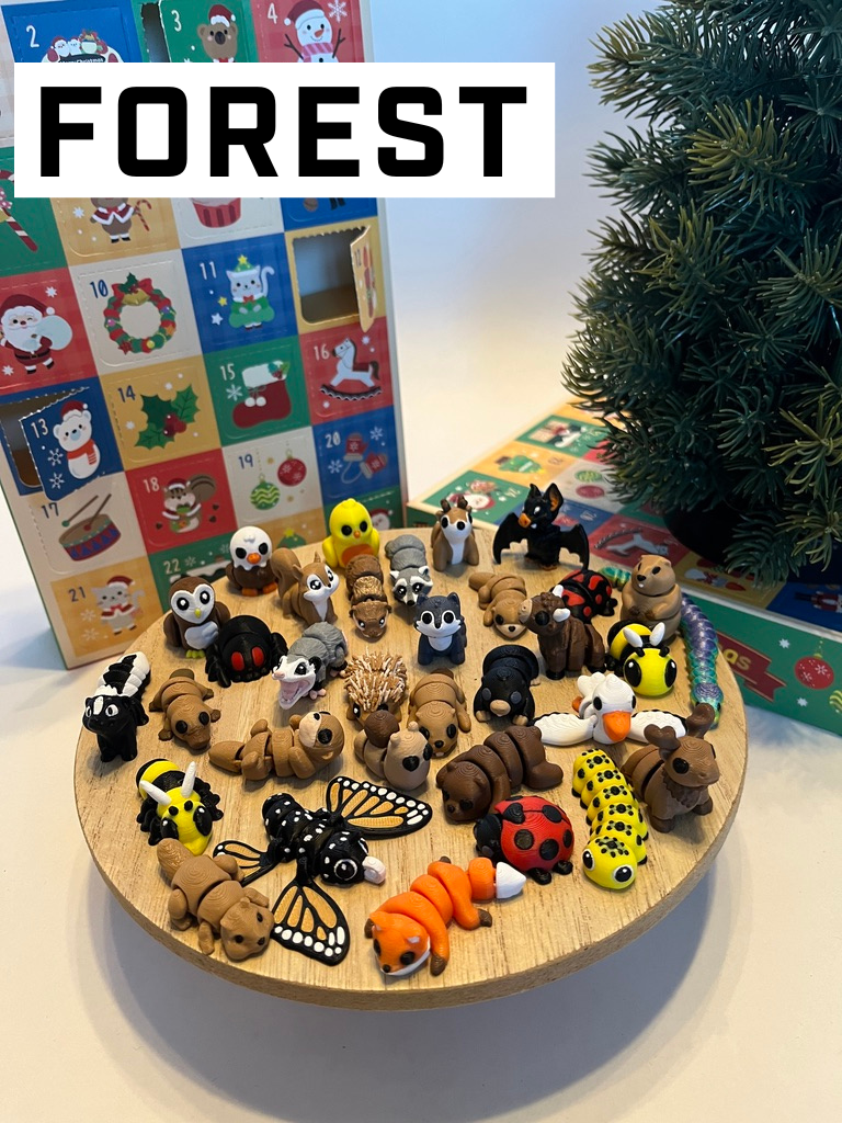 Christmas Advent Calendar