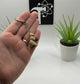 Snail Fidget Animal