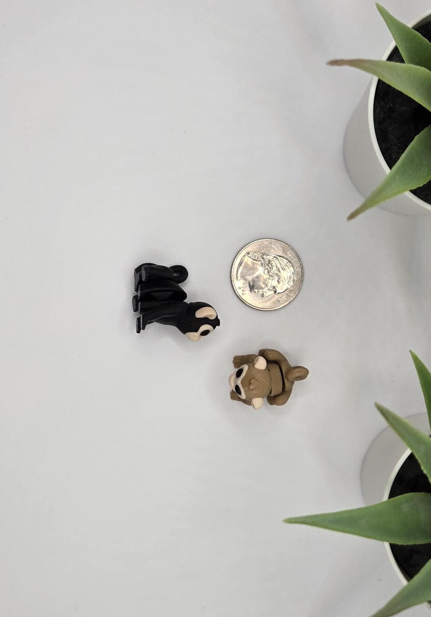 Monkey Fidget Animal