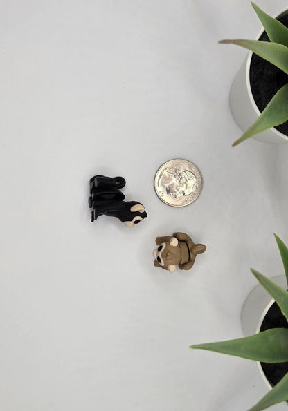 Monkey Fidget Animal