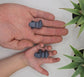 Hippo Fidget Animal