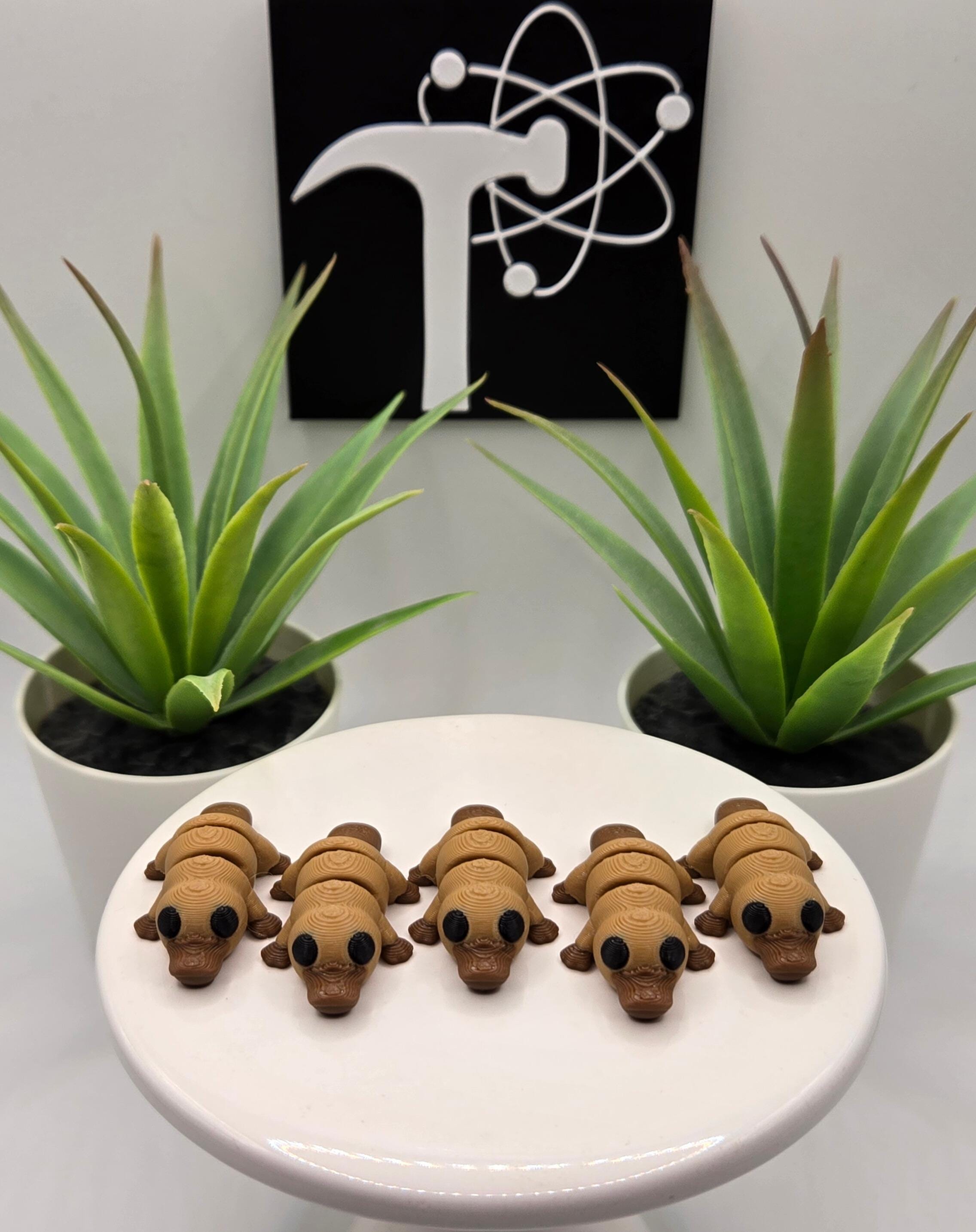 Platypus Fidget Animal – Crafticist