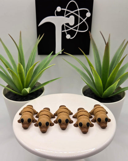Platypus Fidget Animal