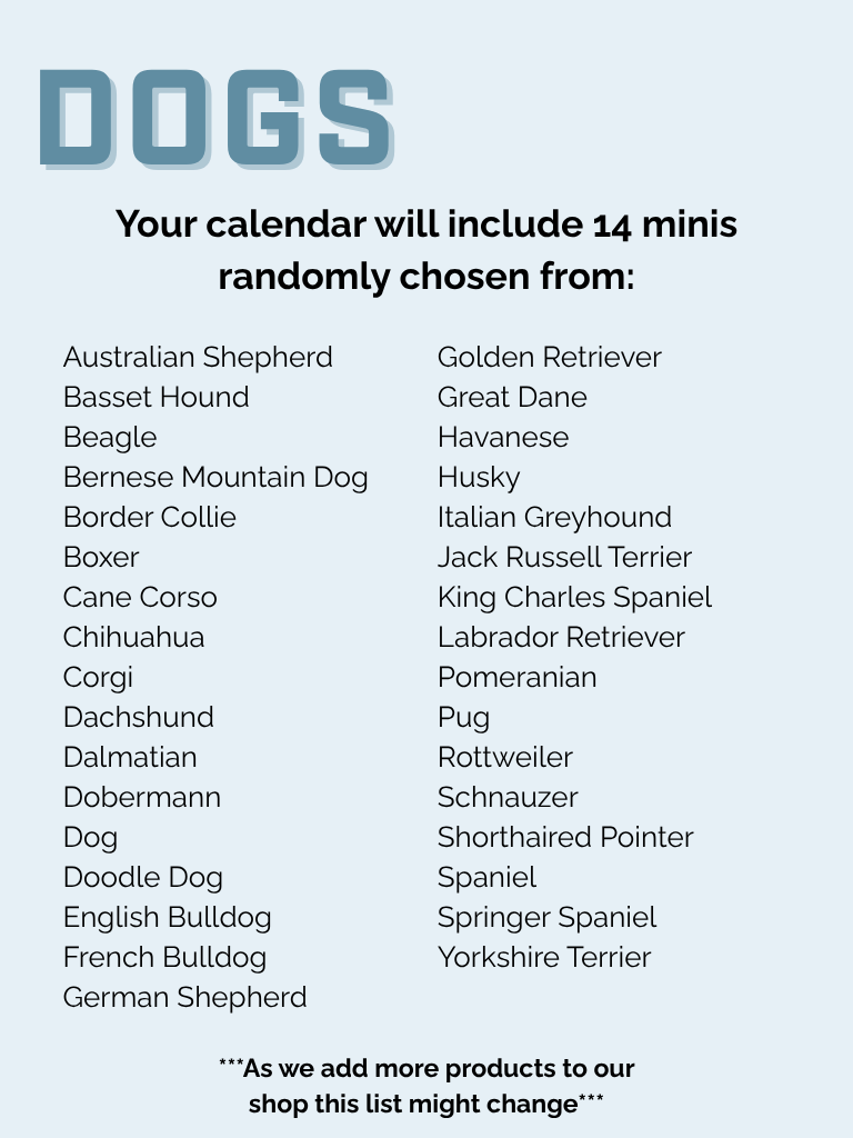 Christmas Advent Calendar