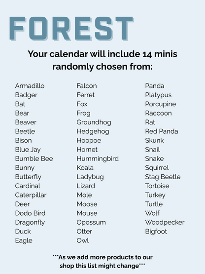 Christmas Advent Calendar