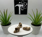 Snail Fidget Animal