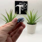 Whale Fidget Animal
