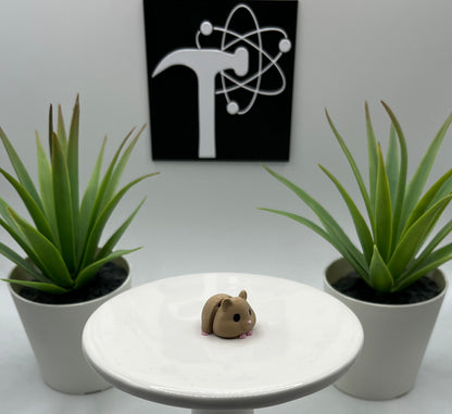 Hamster Fidget Animal