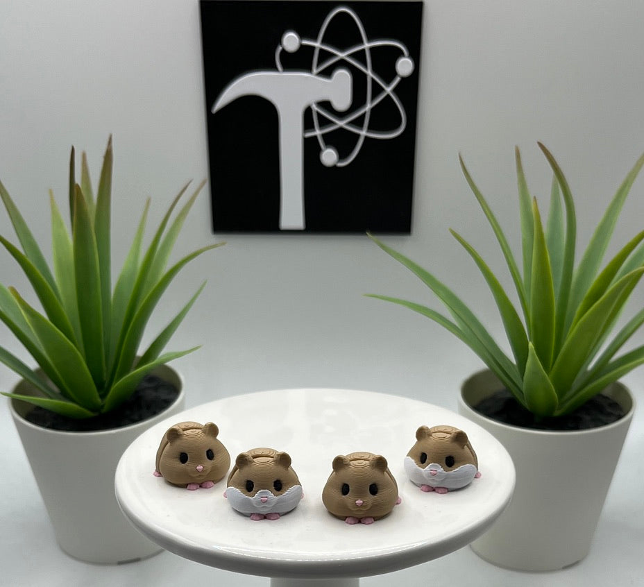 Hamster Fidget Animal