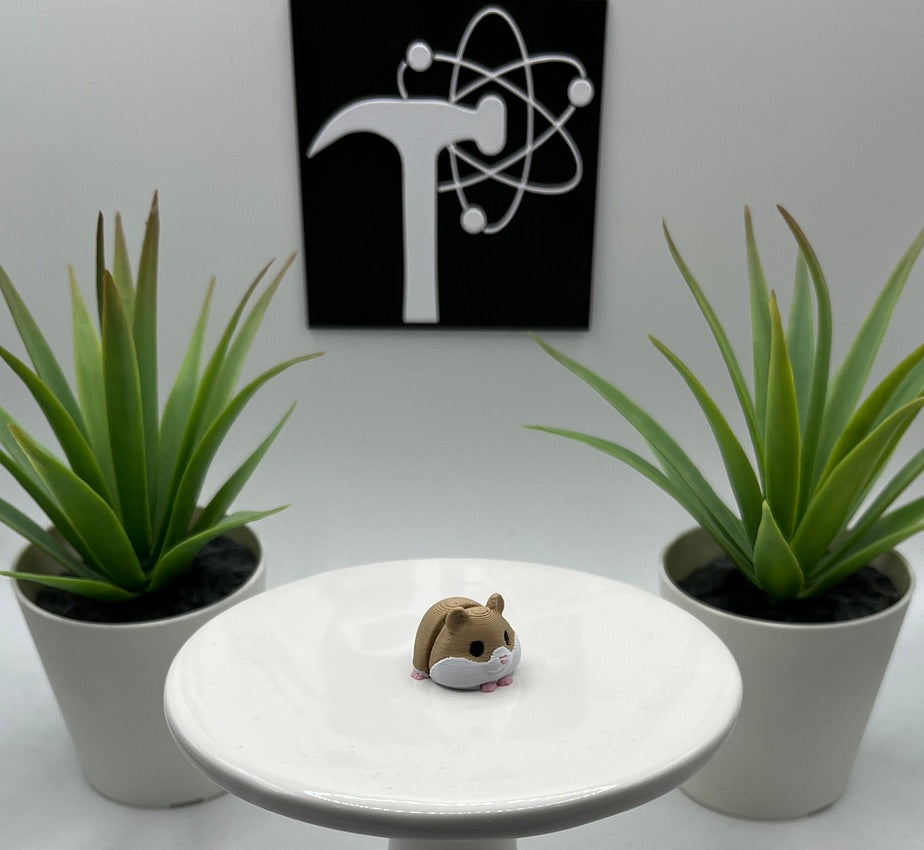 Hamster Fidget Animal