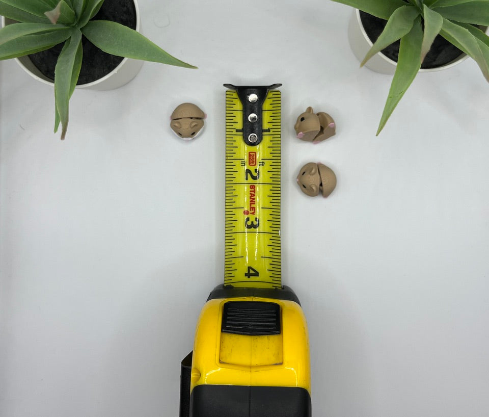 Hamster Fidget Animal