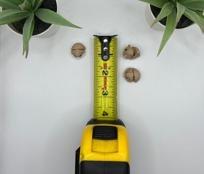 Hamster Fidget Animal