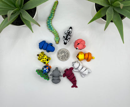 Polar Bear Storytime Set