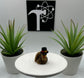 Turkey Fidget Animal