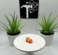 Clownfish Fidget Animal