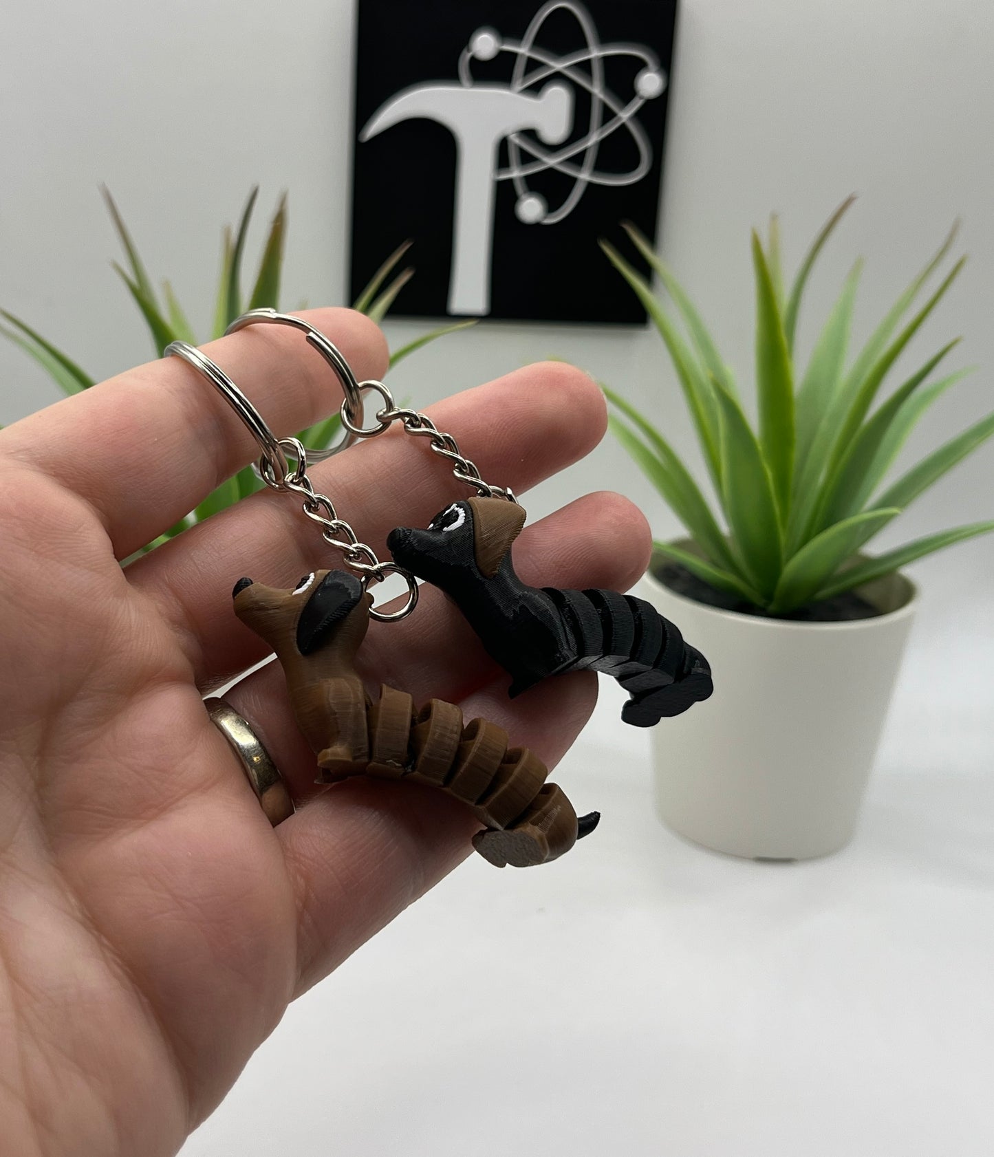 Dachshund Dog Fidget Animal