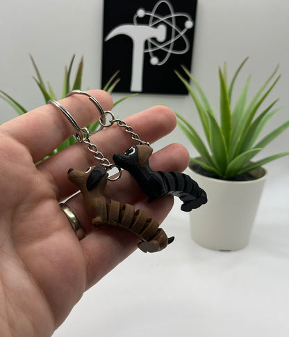 Dachshund Dog Fidget Animal