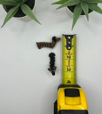 Dachshund Dog Fidget Animal